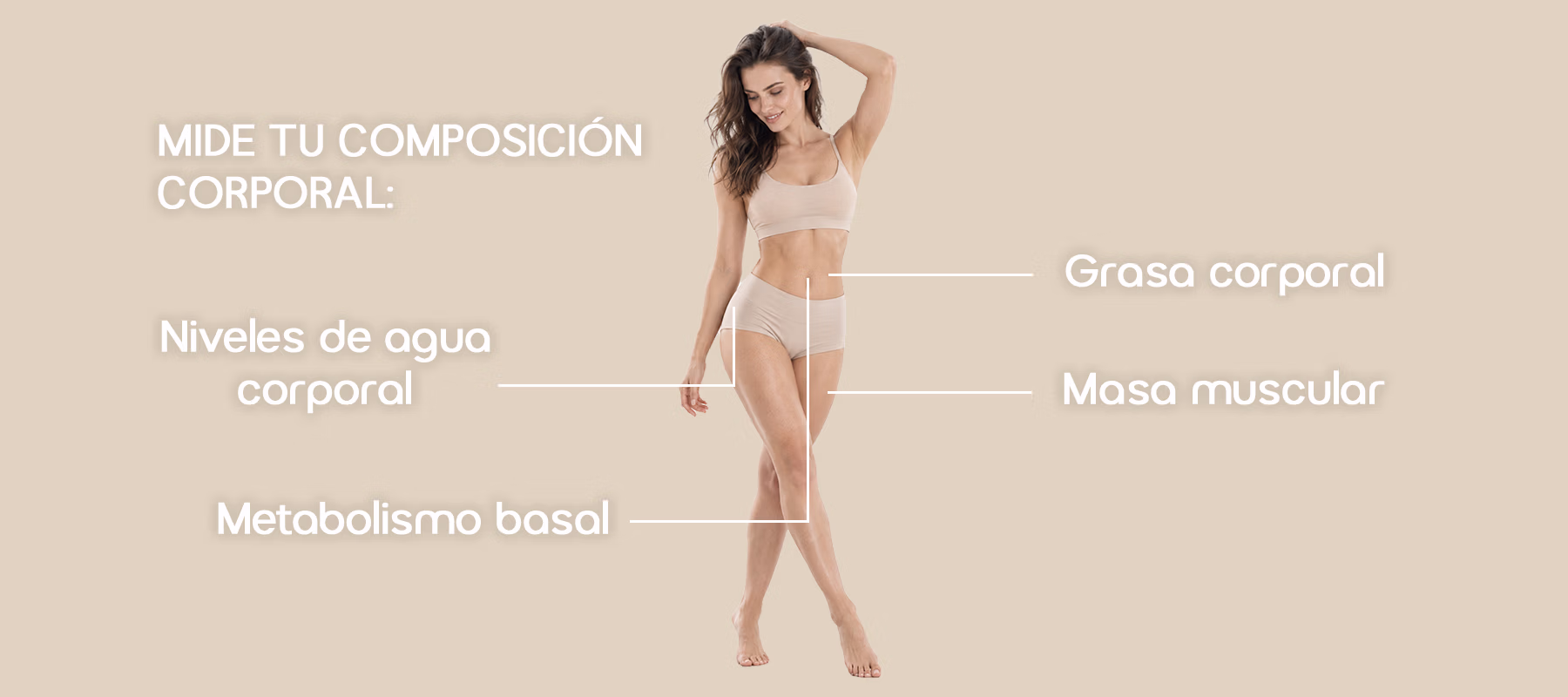 InBody: análisis de composición corporal Aparatología - Balmori Center